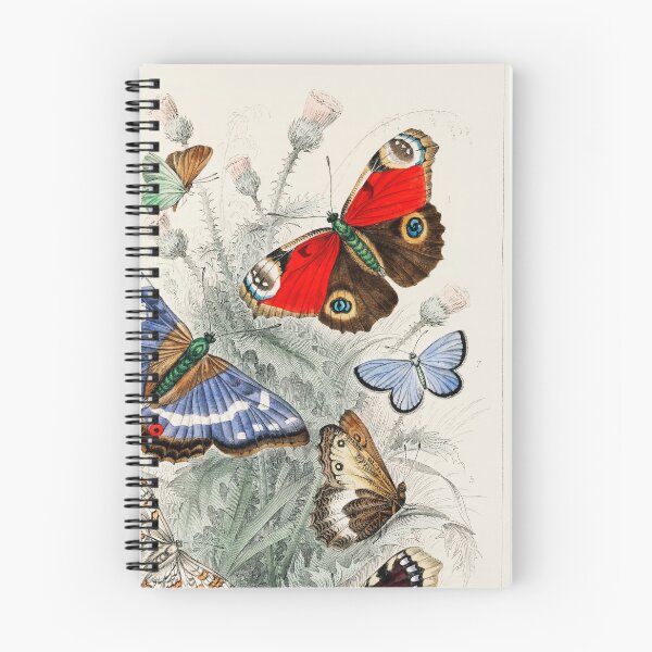 Item preview, Butterflies designed and sold by Nikiolilalala.