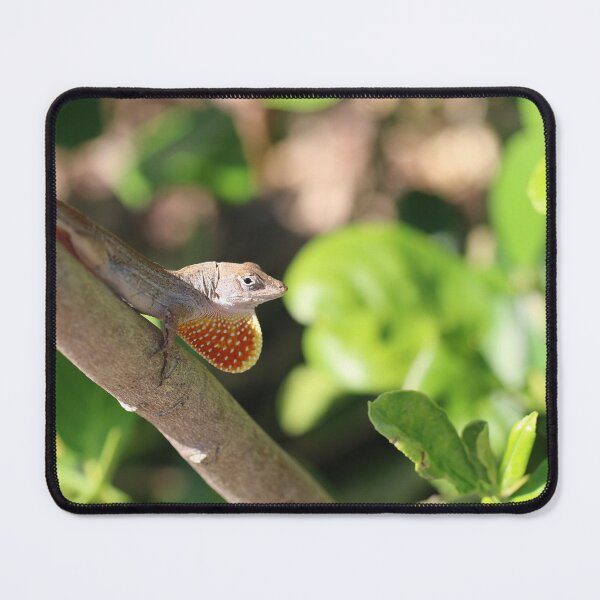 Item preview, Brown Anole Lizard designed and sold by eagleray.