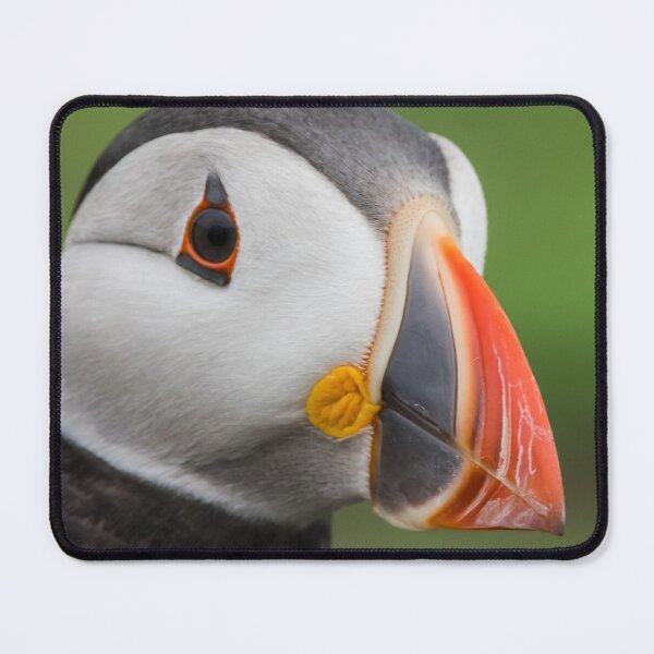 Item preview, Posing Puffin designed and sold by iCimages.net.
