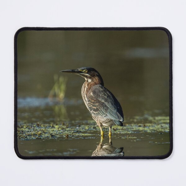 Item preview, Green Heron designed and sold by Michael Cummings.
