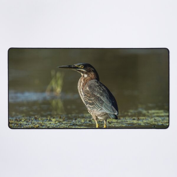 Item preview, Green Heron designed and sold by Michael Cummings.