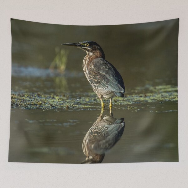 Item preview, Green Heron designed and sold by Michael Cummings.