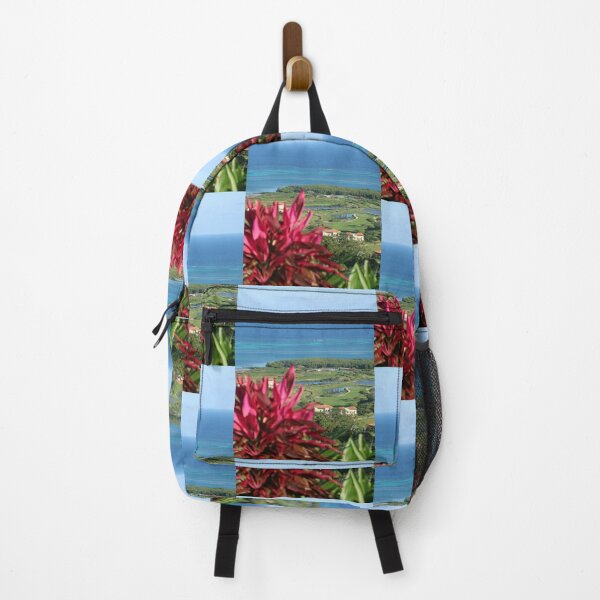 Item preview, Central America, Caribbean, Honduras, Island, Roatan, Sea, Photography, BebiCervin designed and sold by BebiCervin.