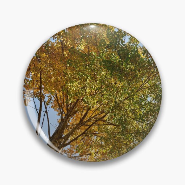 Item preview, Aspen height designed and sold by Jouko Lehto Photography.