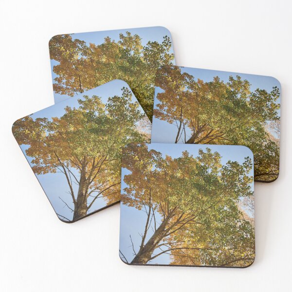 Item preview, Aspen height designed and sold by Jouko Lehto Photography.