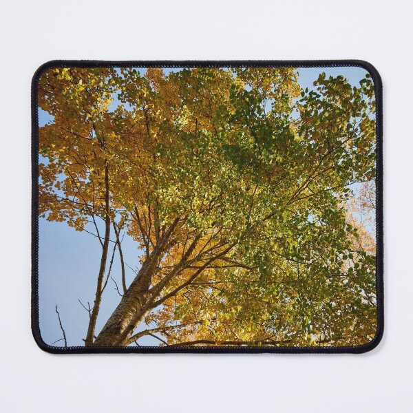 Item preview, Aspen height designed and sold by Jouko Lehto Photography.