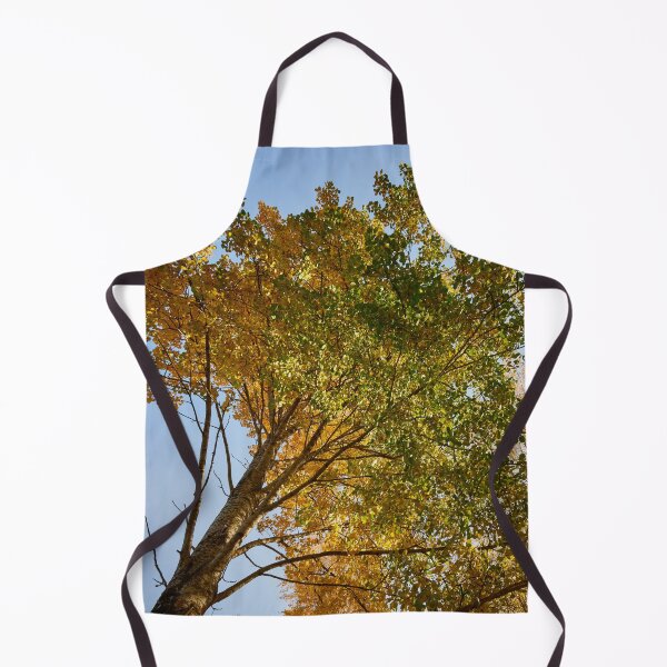 Item preview, Aspen height designed and sold by Jouko Lehto Photography.