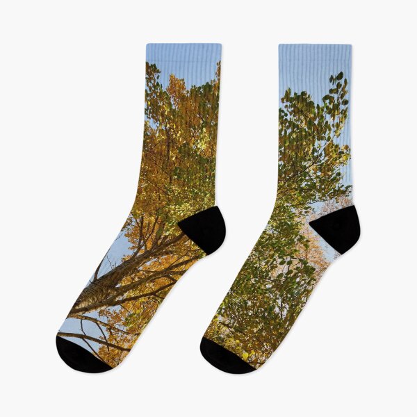 Item preview, Aspen height designed and sold by Jouko Lehto Photography.