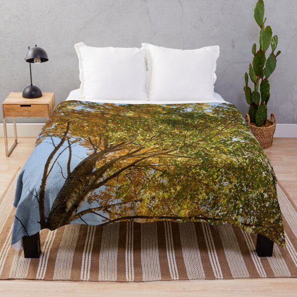 Item preview, Aspen height designed and sold by Jouko Lehto Photography.