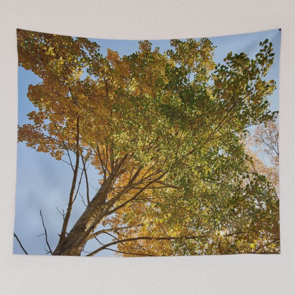 Item preview, Aspen height designed and sold by Jouko Lehto Photography.