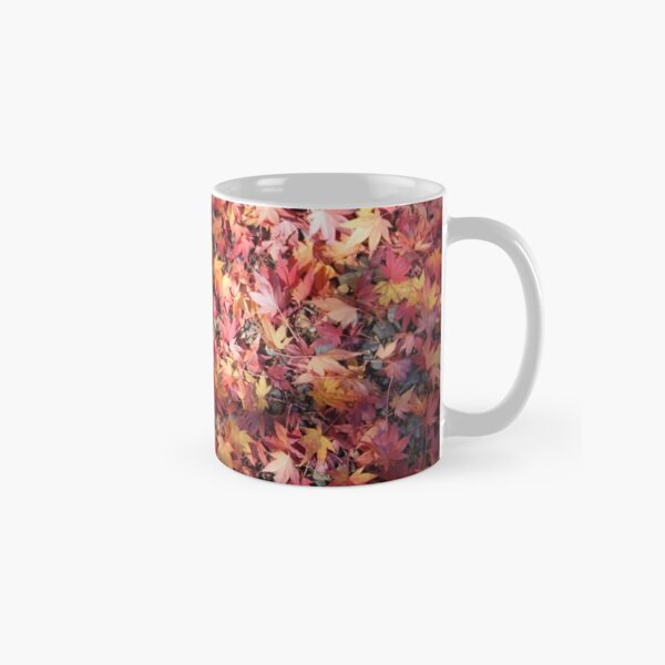 autumn fallen stars Classic Mug