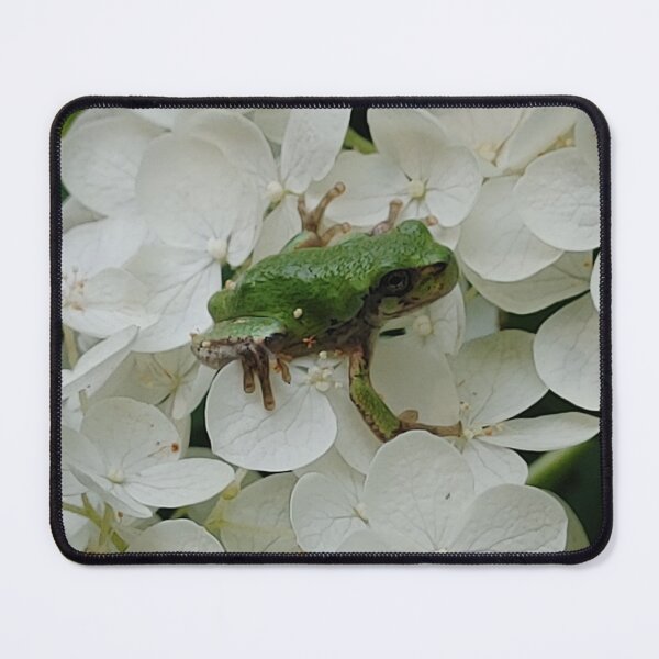 Artikelvorschau, Laubfrosch sitzt auf Hortensie Blume entworfen und verkauft von KristaHowson.