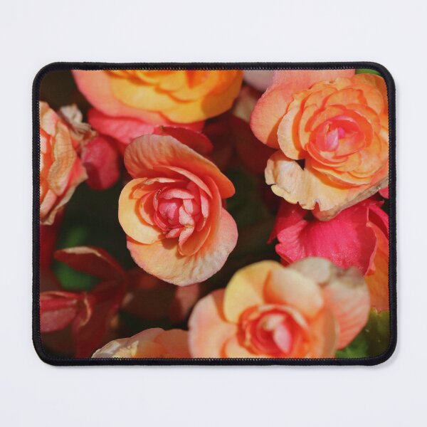 Item preview, Nature, flowers, roses, multicolored, photography, BebiCervin designed and sold by BebiCervin.