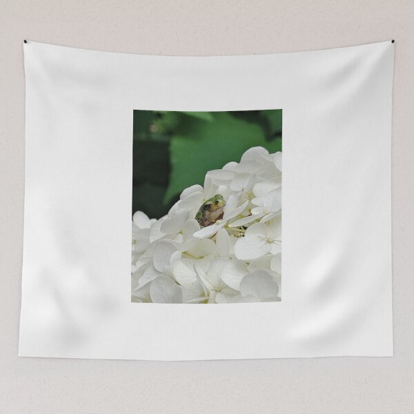 Aperçu de l'œuvre Rainette sur une fleur d'hortensia créée et vendue par KristaHowson.