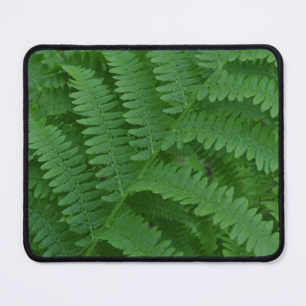 Item preview, Fern Leaves designed and sold by KristaHowson.