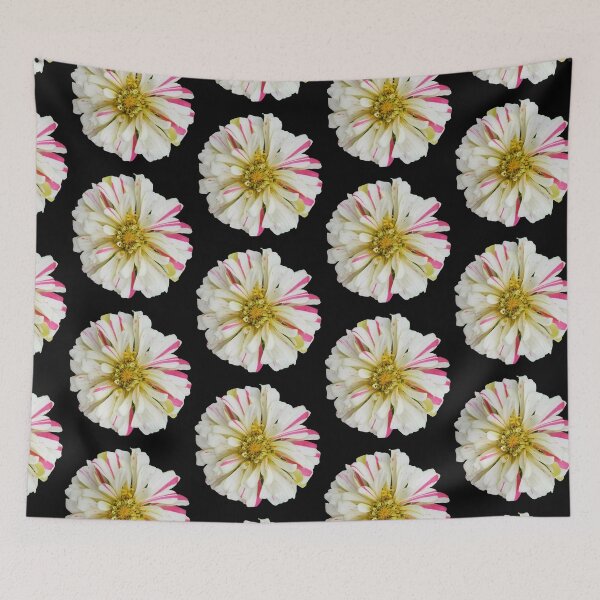 Item preview, Field Guide to Zinnias, No. 7, White and Pink Candy Cane Zinnia Flower designed and sold by Kristi Duggins.