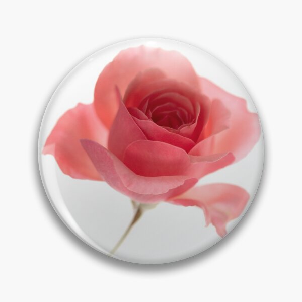Item preview, Romantic rose in white background  designed and sold by CarmenConsi.