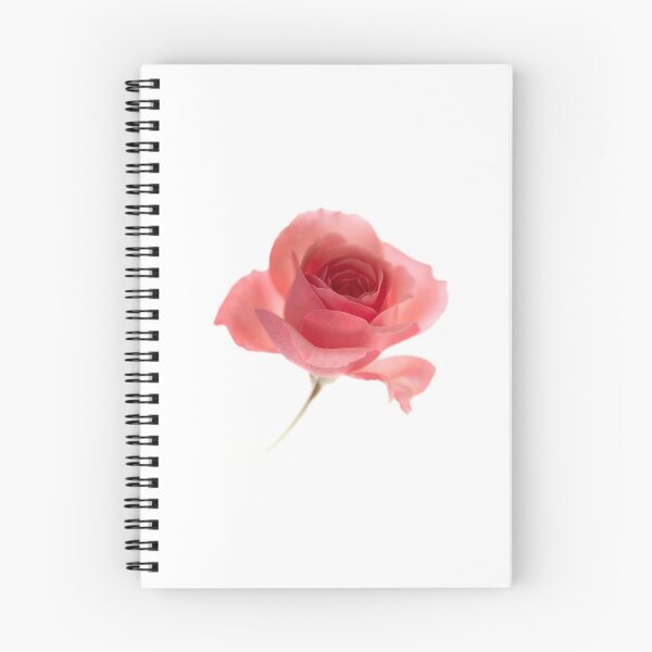Item preview, Romantic rose in white background  designed and sold by CarmenConsi.