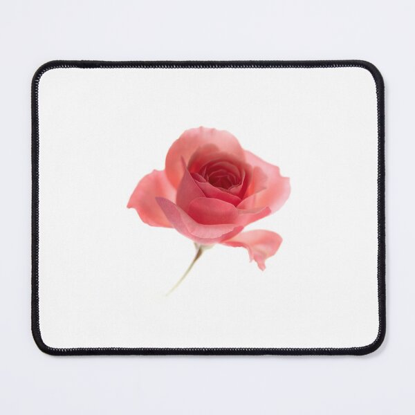 Item preview, Romantic rose in white background  designed and sold by CarmenConsi.