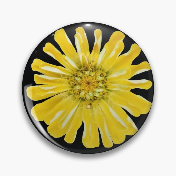 Item preview, Field Guide to Zinnias, No. 8, Canary Yellow Zinnia Flower designed and sold by Kristi Duggins.