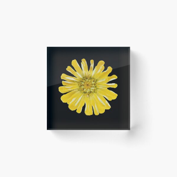 Item preview, Field Guide to Zinnias, No. 8, Canary Yellow Zinnia Flower designed and sold by Kristi Duggins.
