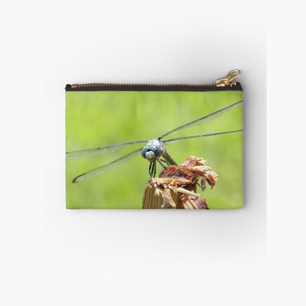 Artikelvorschau, Blue Dasher entworfen und verkauft von Carol Bailey-White.