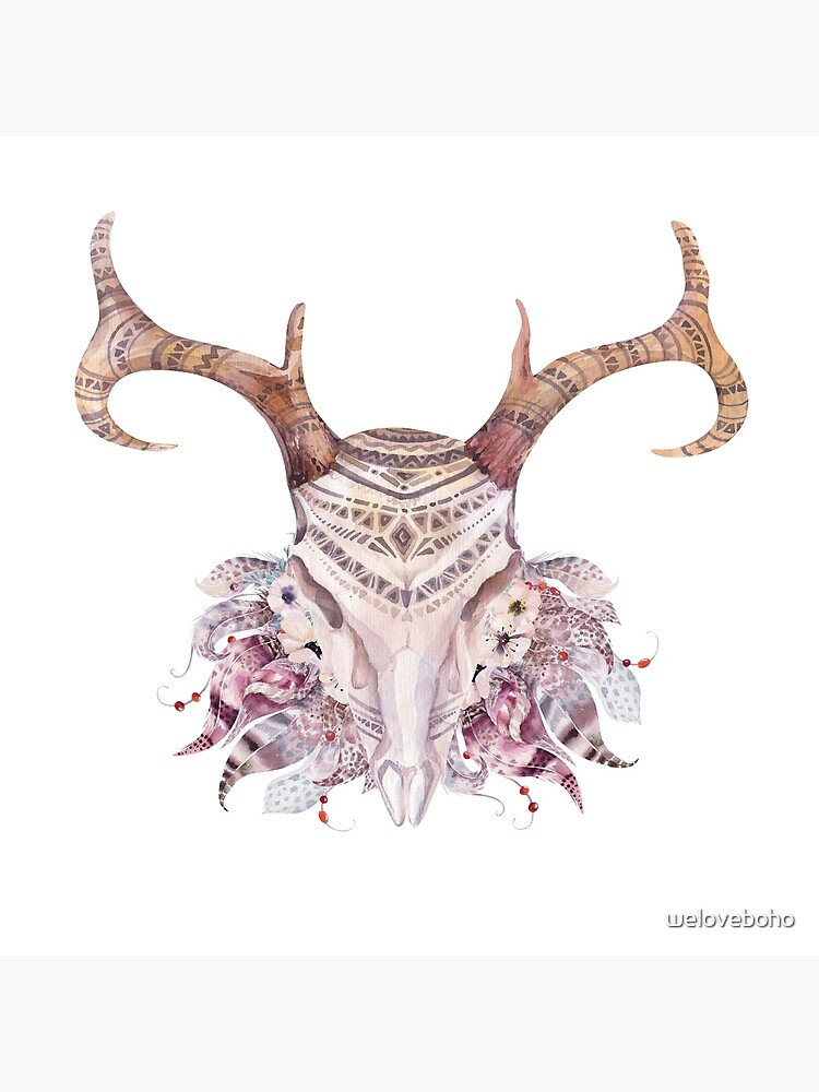 Deer skull with feathers by weloveboho