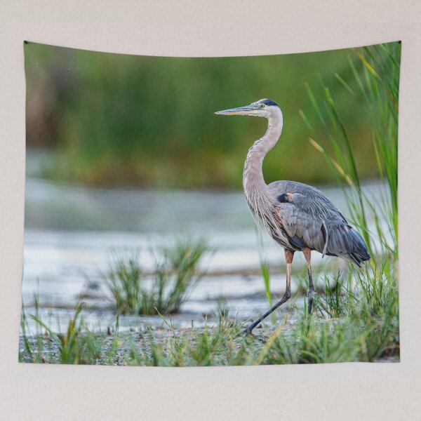 Item preview, Blue Heron designed and sold by Michael Cummings.