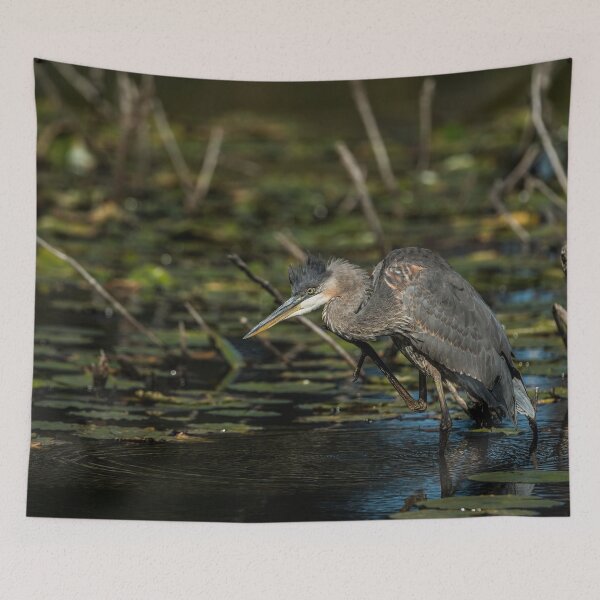 Item preview, Blue Heron Scratching designed and sold by Michael Cummings.