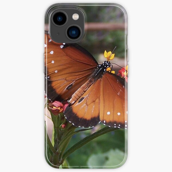 iPhone 14 - Soft