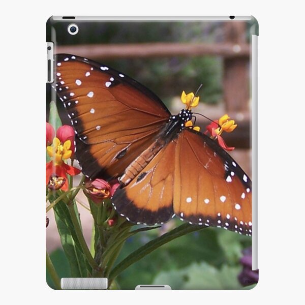 iPad Retina/3/2 - Snap