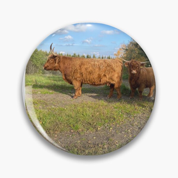 Artikelvorschau, Scottish Highland Cattle Cow and two Calves 3006 entworfen und verkauft von SaarelaHighland.