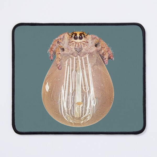 Item preview, Friendly spider on lightbulb design designed and sold by Constant Readers.
