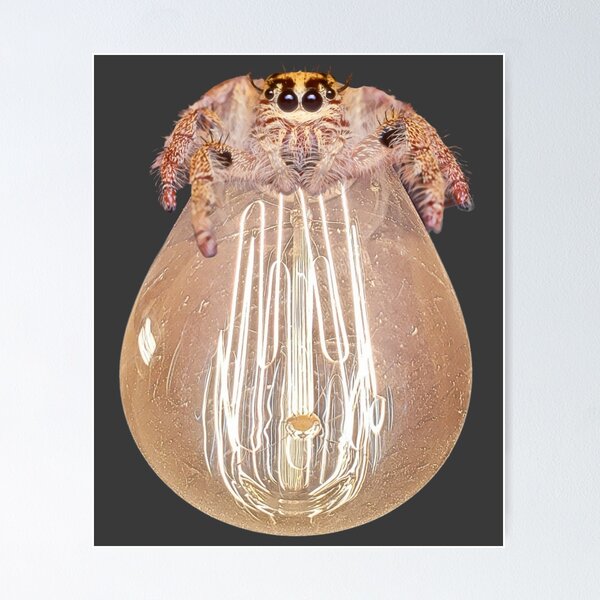 Item preview, Friendly spider on lightbulb design designed and sold by Constant Readers.