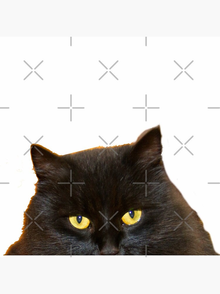 Black Cat Peeking, I Saw That Poster