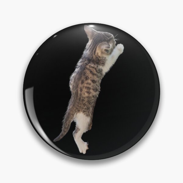 Item preview, Climbing Kitten. Funny, cute kitten climbing. Photo, photograph designed and sold by JellyBeenzz.