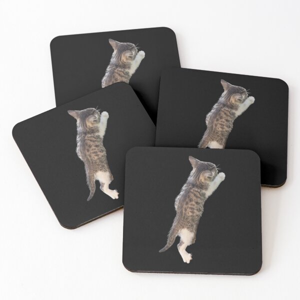 Item preview, Climbing Kitten. Funny, cute kitten climbing. Photo, photograph designed and sold by JellyBeenzz.