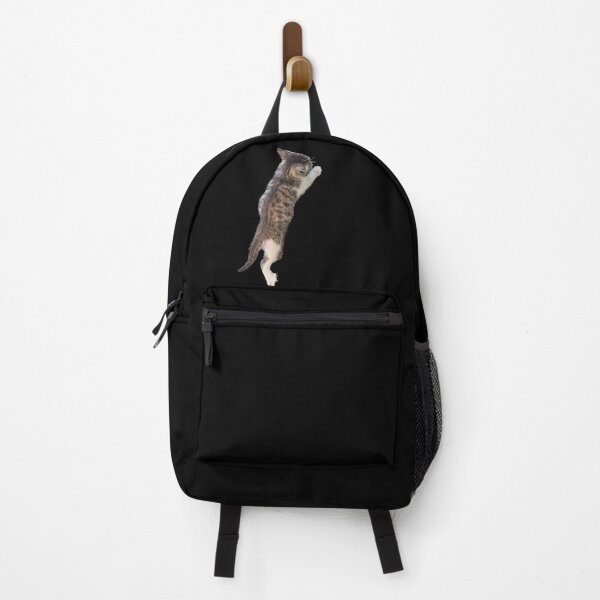 Item preview, Climbing Kitten. Funny, cute kitten climbing. Photo, photograph designed and sold by JellyBeenzz.