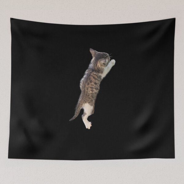 Item preview, Climbing Kitten. Funny, cute kitten climbing. Photo, photograph designed and sold by JellyBeenzz.