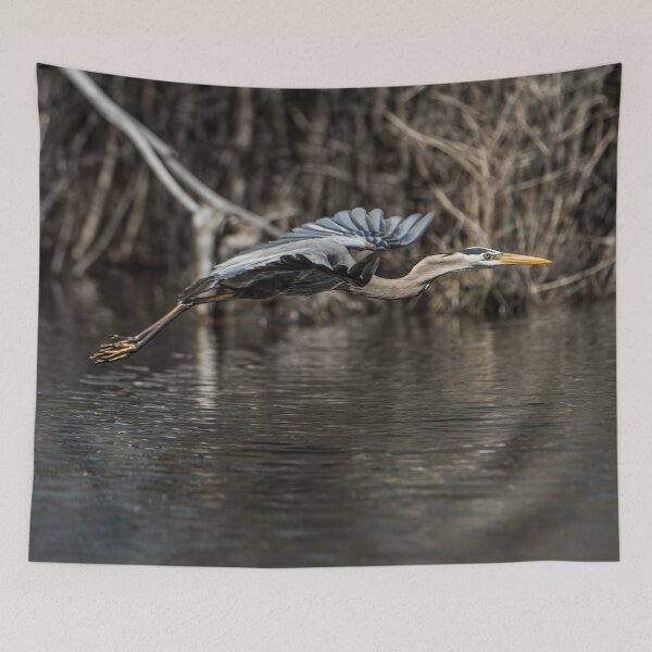 Item preview, Blue Heron In Flight designed and sold by Michael Cummings.