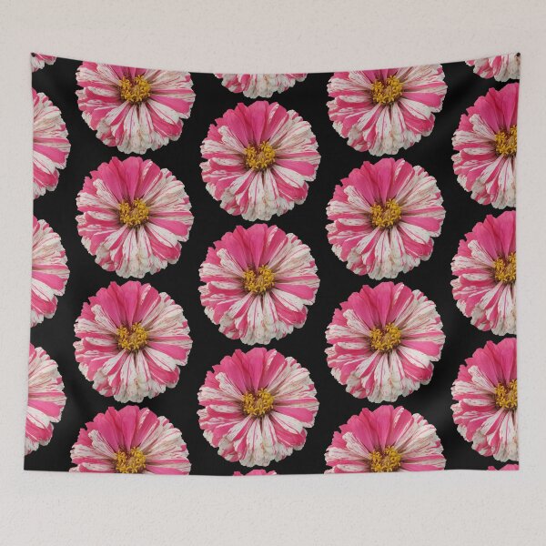 Item preview, Field Guide to Zinnias, No. 9, White and Pink Candy Cane Zinnia Flower 2 designed and sold by Kristi Duggins.