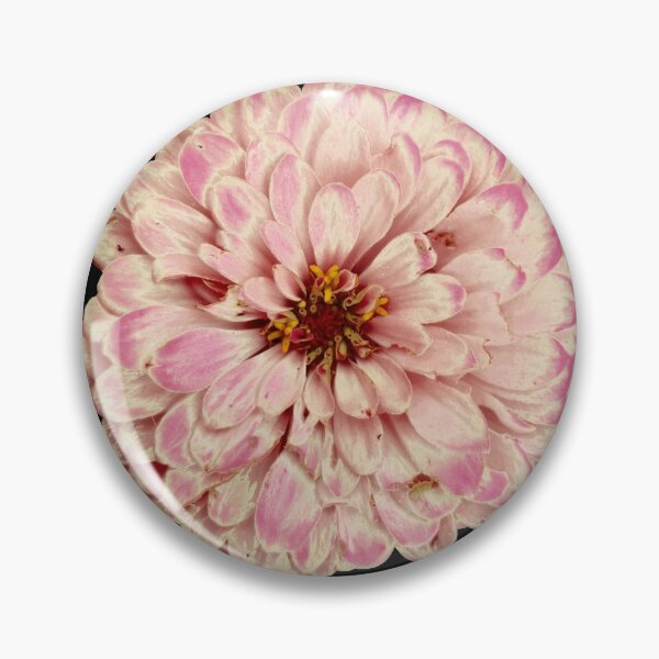 Item preview, Field Guide to Zinnias, No. 10, Antique Pink and Cream Zinnia Flower designed and sold by Kristi Duggins.