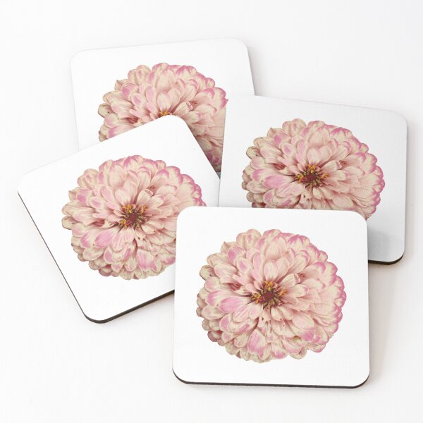 Item preview, Field Guide to Zinnias, No. 10, Antique Pink and Cream Zinnia Flower designed and sold by Kristi Duggins.