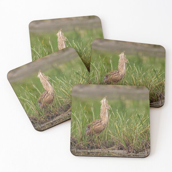 Item preview, American Bittern designed and sold by Michael Cummings.