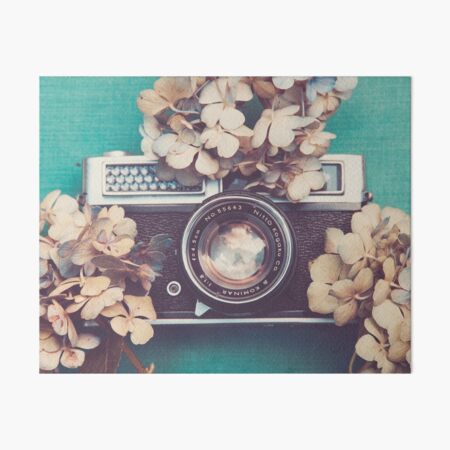 Camera & Hydrangea Art Board Print