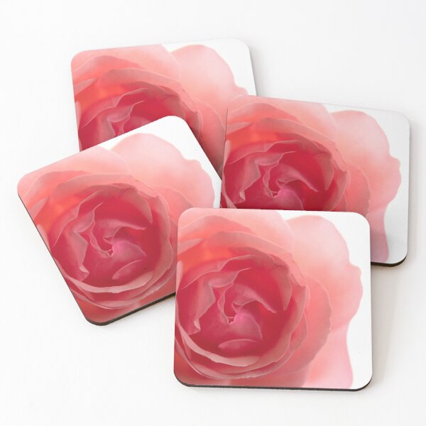 Item preview, Close up of romantic rose in white background designed and sold by CarmenConsi.
