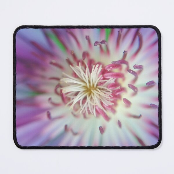 Clematis flower Mouse Pad