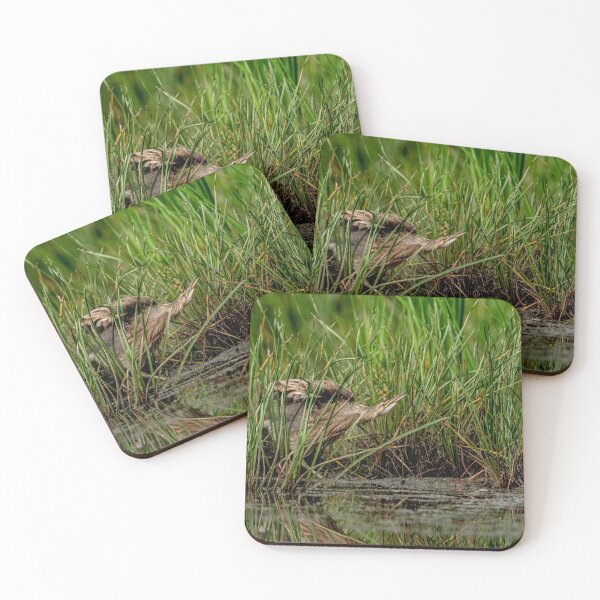 Item preview, American Bittern designed and sold by Michael Cummings.