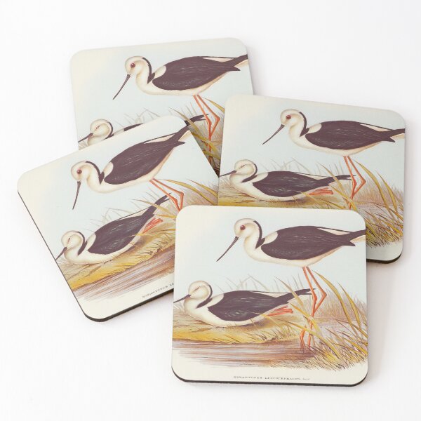 Item preview, White-headed Stilt - Vintage artwork - Elizabeth Gould - Remastered  designed and sold by Mimi Y..