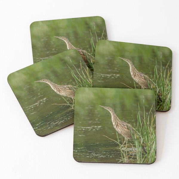 Item preview, American Bittern designed and sold by Michael Cummings.